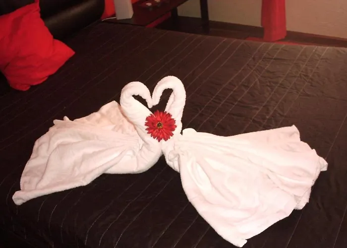 Casa de hóspedes Alojamentos Leitao Seia