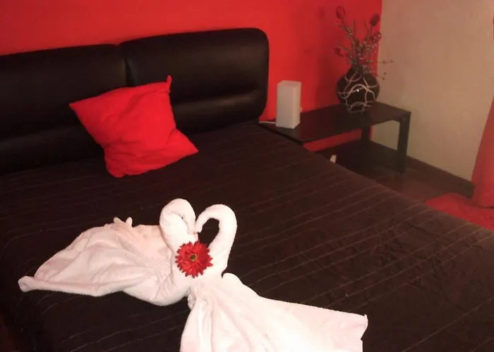 Alojamentos Leitao 2* Seia