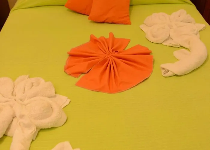 Alojamentos Leitao Casa de hóspedes Seia